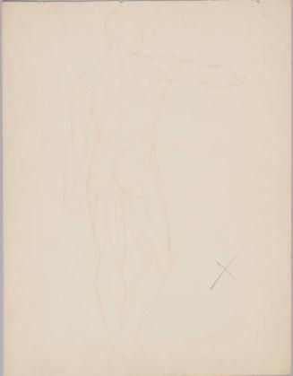Male Nude - Rear View