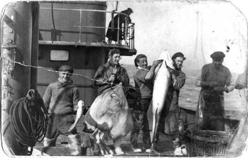 Ship's crew holding up a selection of fish