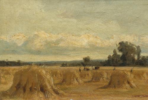 Harvest Field, Rosemount, Blairgowrie