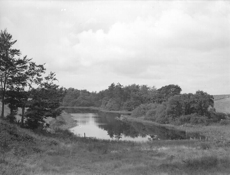 Looking on River Don