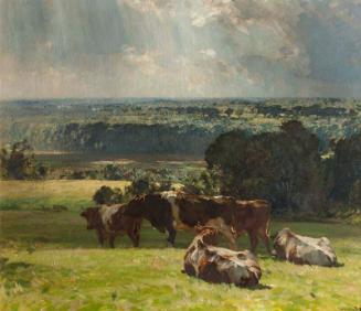 A Norfolk Landscape