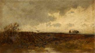 Ploughing - after a Shower