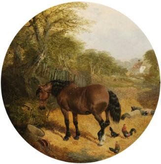 Horses, Pigs and Poultry