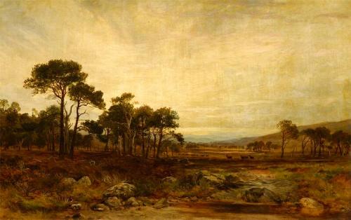 Glen Dee Deer-Forest