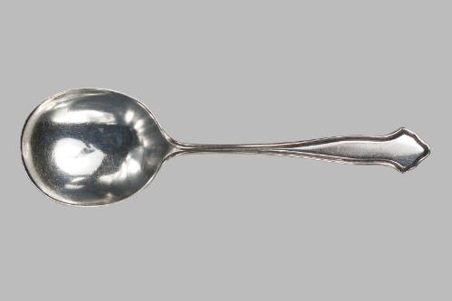 Silver Spoon