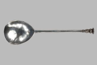 Seal Top Spoon