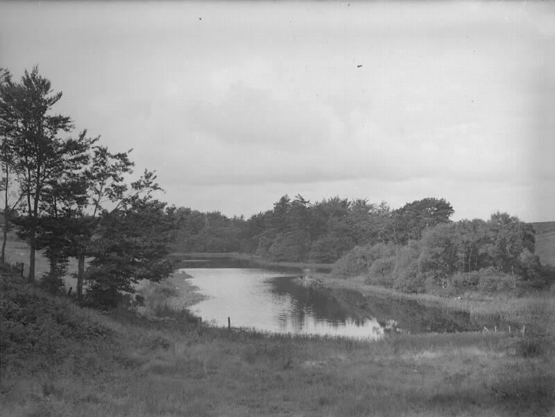 View at River Don