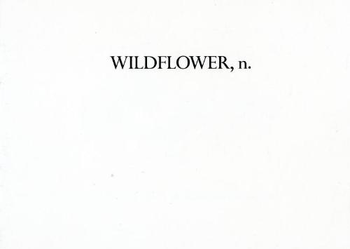 Wildflower, n.