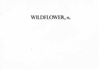 Wildflower, n.