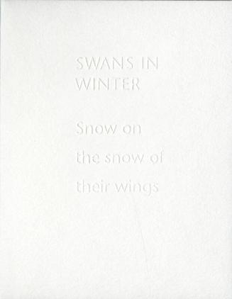 Swans in Winter