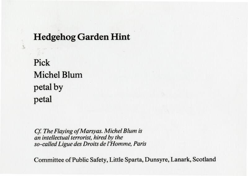 Hedgehog Garden Hint