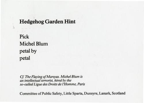 Hedgehog Garden Hint