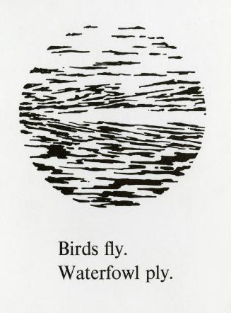 Birds fly, Waterfowl ply