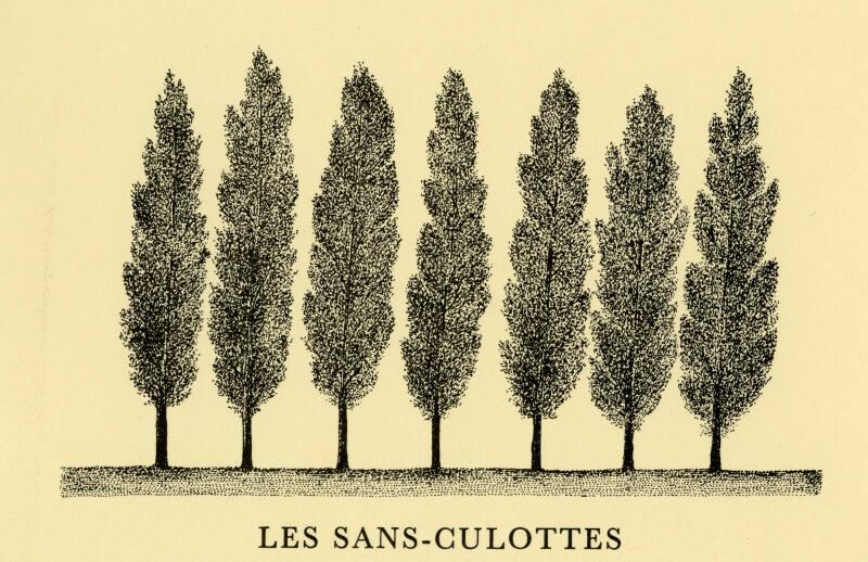 Les Sans-Culottes