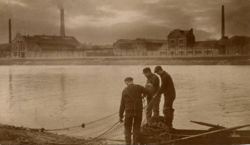 Salmon Fishing On River Dee