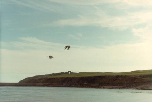 Colour Photograph Taken From The Round House Area, Showing Torry Battery