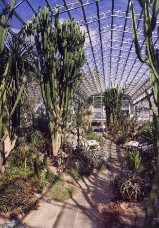 Postcard of Cactus Garden
