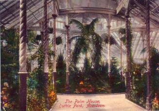 Postcard of the Palm House at Duthie Park