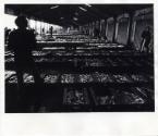 Fish Market,  Black & White Photograph by Fay Godwin