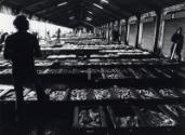 Fish Market Black & White Photograph by Fay Godwin, duplicate of ABDMS025379.4