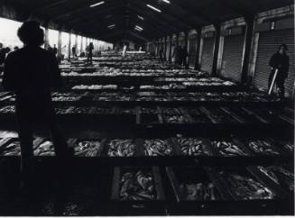 Fish Market Black & White Photograph by Fay Godwin, duplicate of ABDMS025379.4