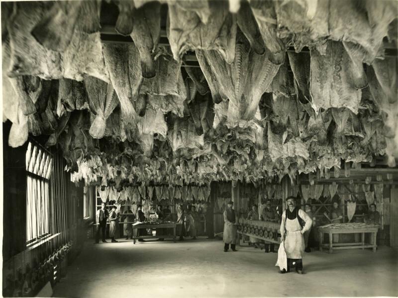 Saltfish: Artificial Drying at Esplanade Curing Works