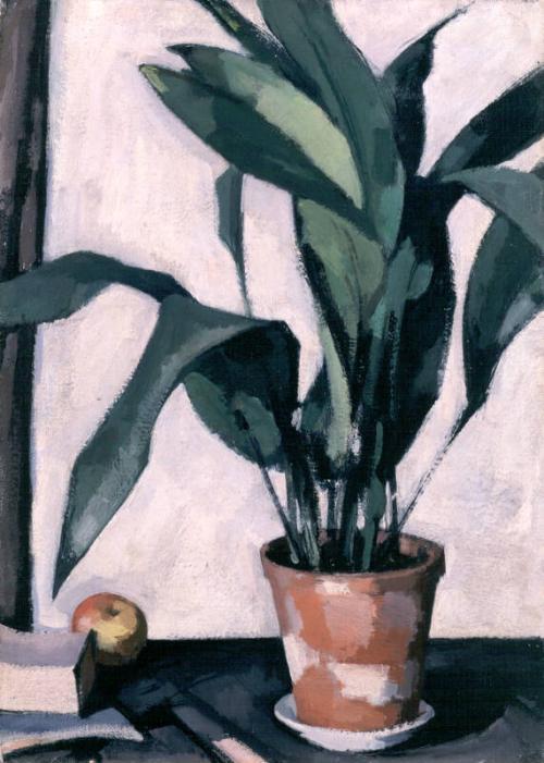 Aspidistra by Samuel John Peploe 