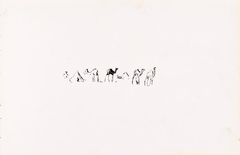 Camels (Sketchbook - War)