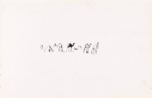 Camels (Sketchbook - War)