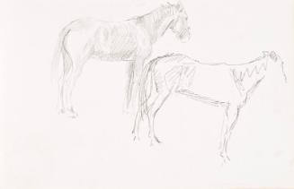 Two Horses (Sketchbook - War)
