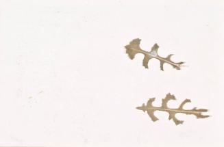 Thistle Leaves (Sketchbook - War)