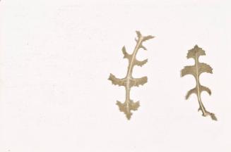 Thistle Leaves (Sketchbook - War)