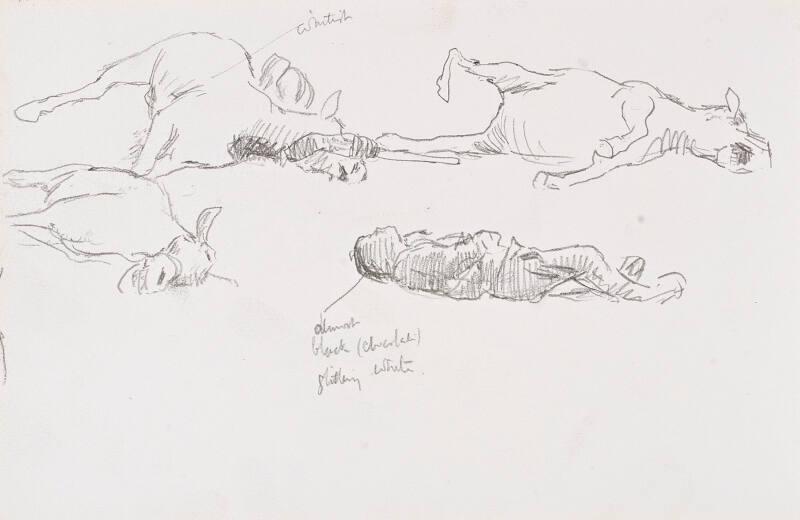 Horses and Soldier (Sketchbook - War)