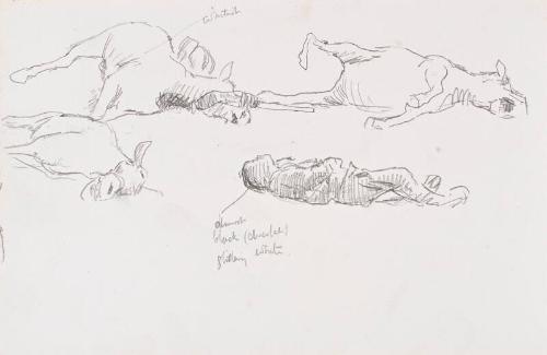 Horses and Soldier (Sketchbook - War)