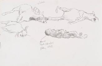 Horses and Soldier (Sketchbook - War)