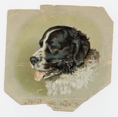 Card From Victoria To Brown Family