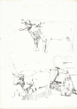 Oxen with Cart & Versopart of a Cart