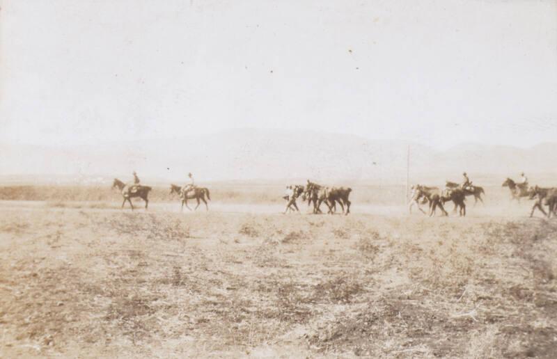 Capture of Damascus (Photograph Album Belonging to James McBey)