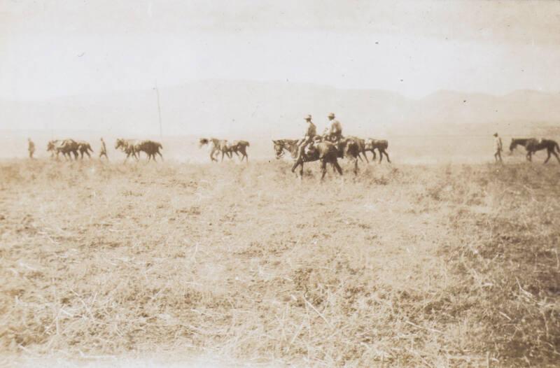 Capture of Damascus (Photograph Album Belonging to James McBey)