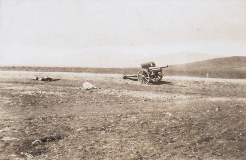 Cannon (Photograph Album Belonging to James McBey)