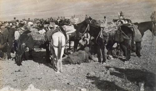 Capture of Damascus (Photograph Album Belonging to James McBey)