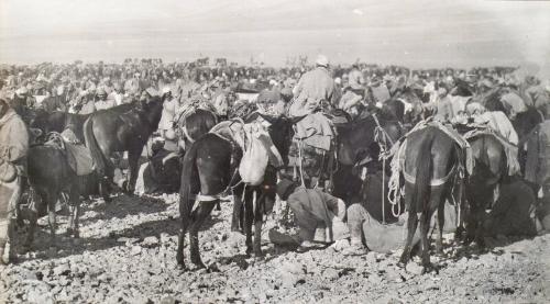 Capture of Damascus (Photograph Album Belonging to James McBey)