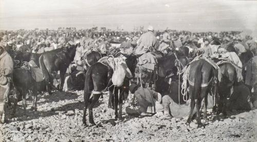 Capture of Damascus (Photograph Album Belonging to James McBey)