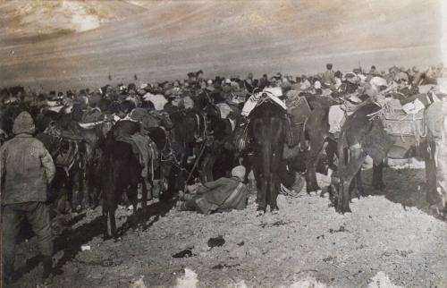 Capture of Damascus (Photograph Album Belonging to James McBey)