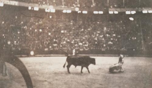 Bullfighting (Photograph Album Belonging to James McBey)