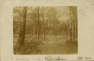 Beveridge Park, Kirkcaldy (Postcards Associated with James McBey)