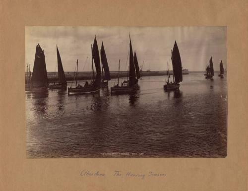 Herring Fleet At Harbour Mouth