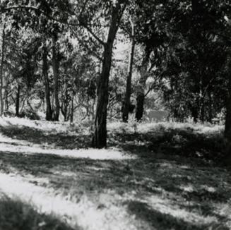 James McBey's Grave (Photographs of James McBey's Homes)