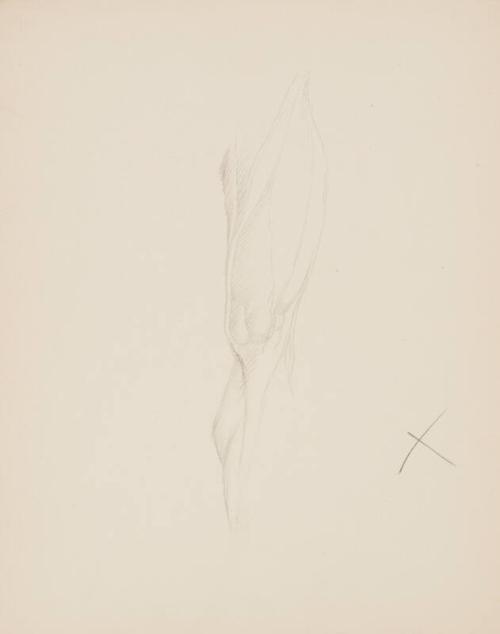 Study of a Male Leg