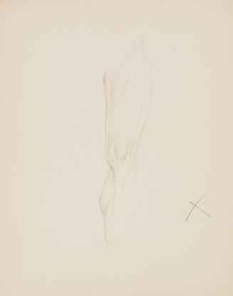 Study of a Male Leg